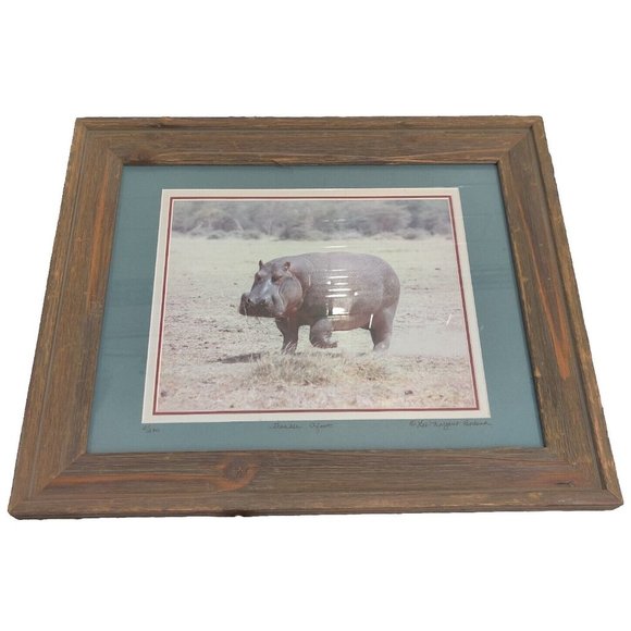 Hippopotamus Photography Lake Manyara National Park Tanzania Africa Lee-Margaret - Picture 1 of 15